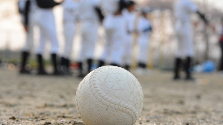東三河勢の活躍に期待！第97回全国高等学校野球選手権愛知県大会(2015)