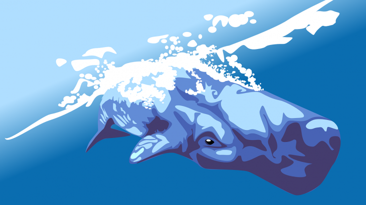 豊橋の高塚海岸にマッコウクジラの死骸が漂着！